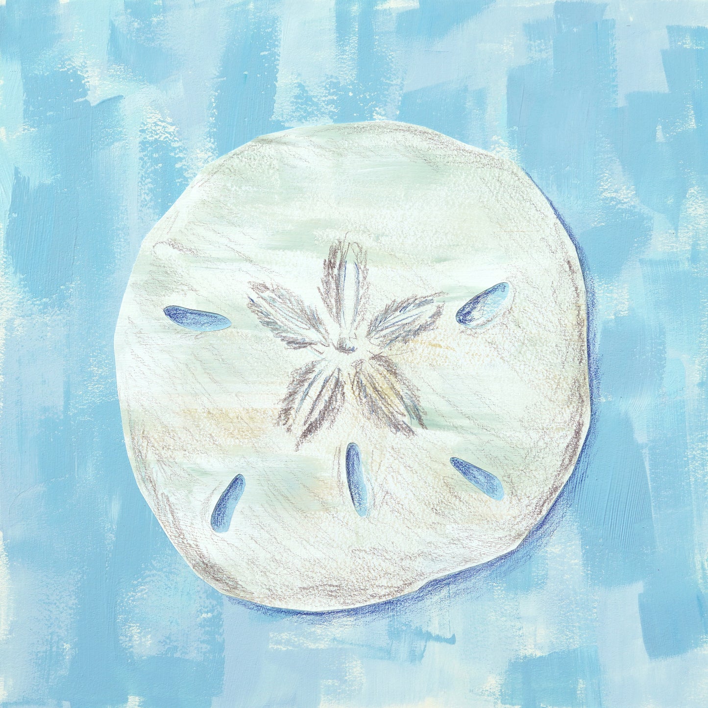 Sand Dollar Print