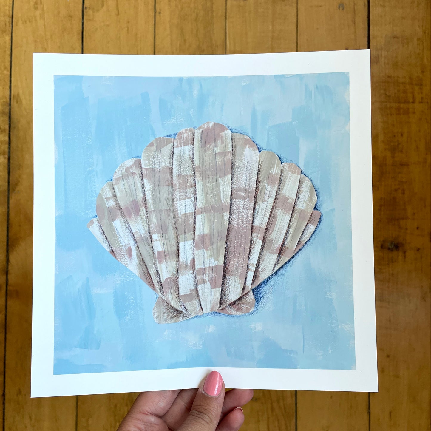 Seashell Print